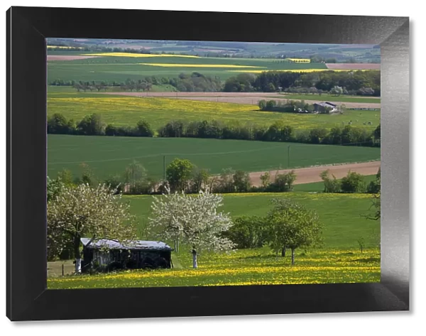 Germany, Rhineland-Palatinate, Mulbach, spring fields