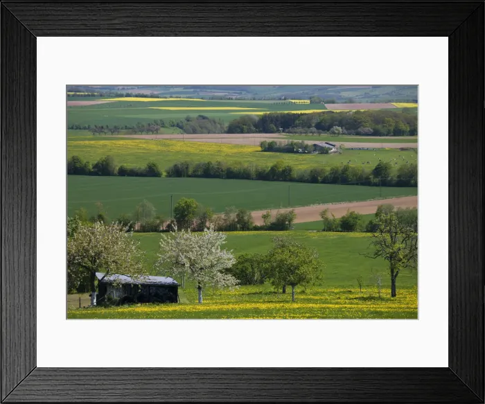 Framed Print : Germany, Rhineland-Palatinate, Mulbach, spring fields Framed Print : Germany, Rhineland-Palatinate, Mulbach, spring fields
