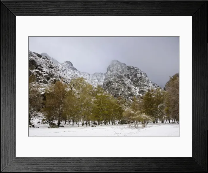 Framed Print : Birch trees and snow in Covao da Ametade. Serra da Estrela Nature Park, Beira Alta Framed Print : Birch trees and snow in Covao da Ametade. Serra da Estrela Nature Park, Beira Alta