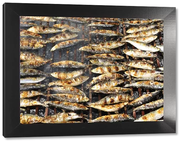Grilled sardines. Winter Festivities. Grijo de Parada, Tras-os-Montes, Portugal