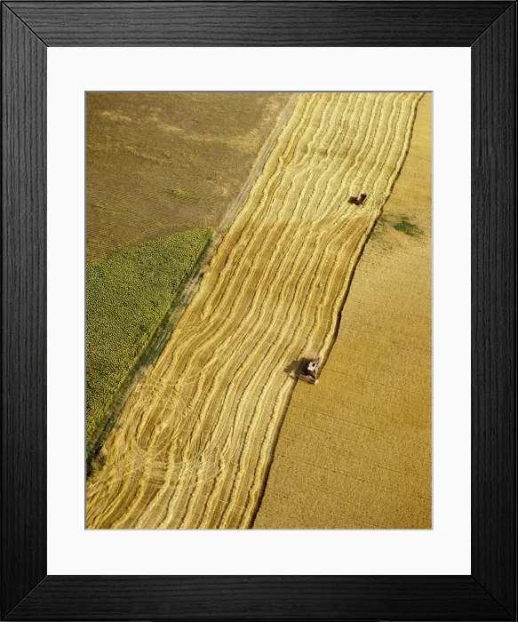 Framed Print : Aerial view of harvesting in Ribatejo, Portugal Framed Print : Aerial view of harvesting in Ribatejo, Portugal