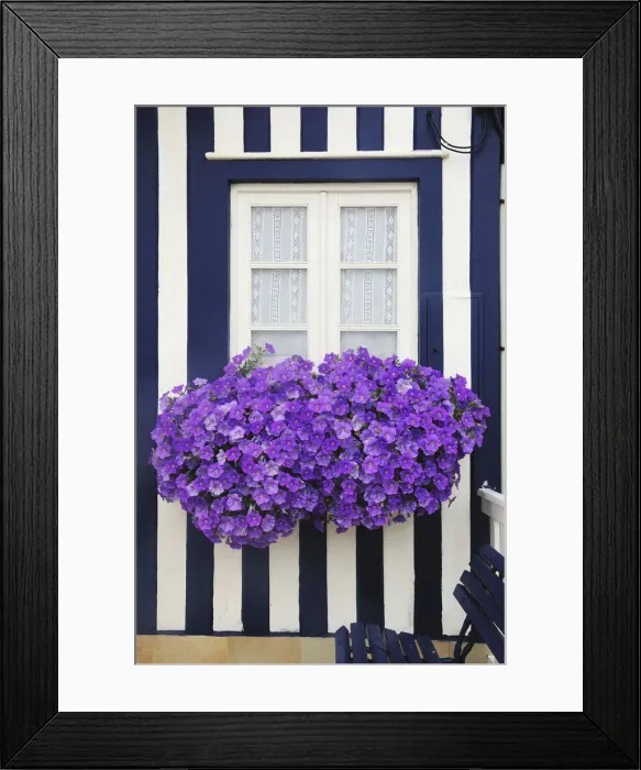 Framed Print : Traditional striped painted houses in the little seaside village of Costa Nova, Portugal Framed Print : Traditional striped painted houses in the little seaside village of Costa Nova, Portugal