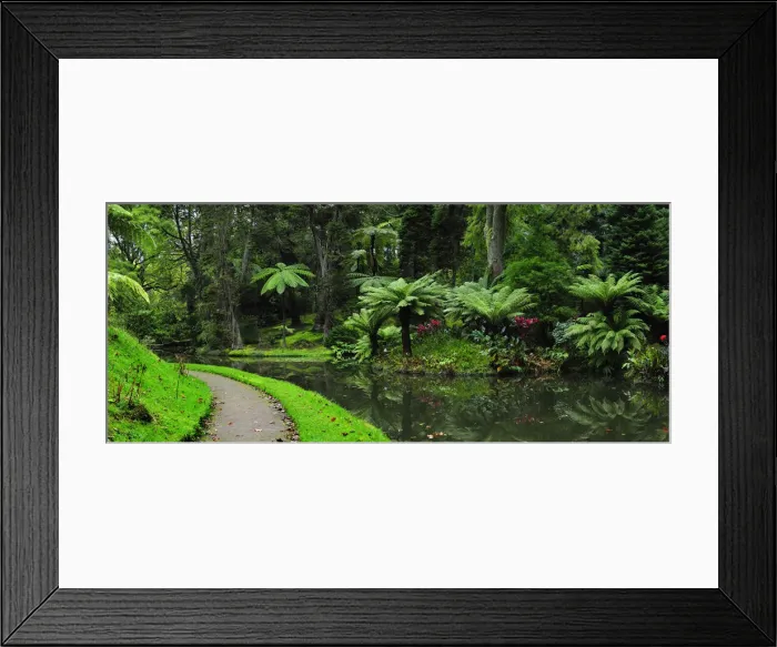 Framed Print : Founded in the 18th century, the Terra Nostra garden at Furnas is one of the most Framed Print : Founded in the 18th century, the Terra Nostra garden at Furnas is one of the most