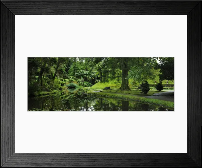 Framed Print : Founded in the 18th century, the Terra Nostra garden at Furnas is one of the most