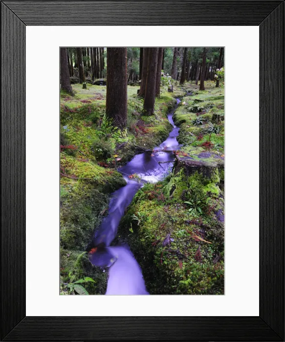 Framed Print : Brook at the Lagoa das Patas Nature Reserve. Terceira, Azores islands, Portugal Framed Print : Brook at the Lagoa das Patas Nature Reserve. Terceira, Azores islands, Portugal