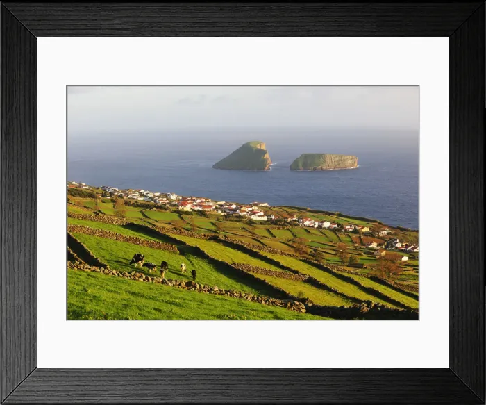 Framed Print : Pasture fields at Ribeirinha. In the background we can see the Ilheus das Cabras (islets) Framed Print : Pasture fields at Ribeirinha. In the background we can see the Ilheus das Cabras (islets)