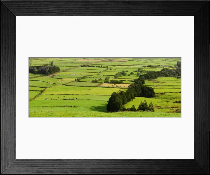 Framed Print : Pasture fields at Fontinhas. Terceira, Azores islands, Portugal