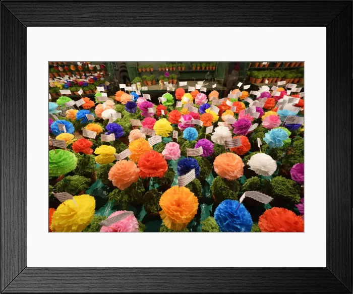 Framed Print : Manjericos (basil), a popular gift during the Santo Antonio festivities in Alfama Framed Print : Manjericos (basil), a popular gift during the Santo Antonio festivities in Alfama