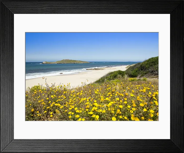 Framed Print : Europe, Portugal, Alentejo, Sines, the Ilha do Pessegueiro island and the Rota Vicentina Framed Print : Europe, Portugal, Alentejo, Sines, the Ilha do Pessegueiro island and the Rota Vicentina