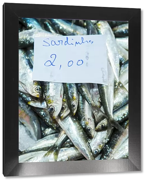 Europe, Portugal, Alentejo, sardines for sale in Vila Nova de Milfontes fish market