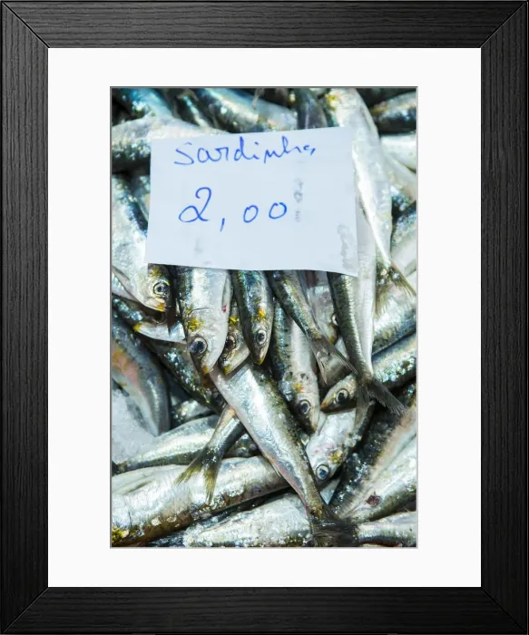 Framed Print : Europe, Portugal, Alentejo, sardines for sale in Vila Nova de Milfontes fish market Framed Print : Europe, Portugal, Alentejo, sardines for sale in Vila Nova de Milfontes fish market