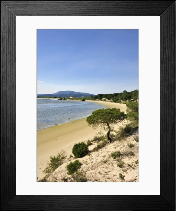 Framed Print : Troia lagoon. Sado River Nature Reserve, Portugal Framed Print : Troia lagoon. Sado River Nature Reserve, Portugal