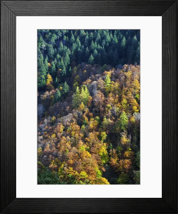 Framed Print : Autumn time in the Serra da Estrela Nature Park, Portugal Framed Print : Autumn time in the Serra da Estrela Nature Park, Portugal