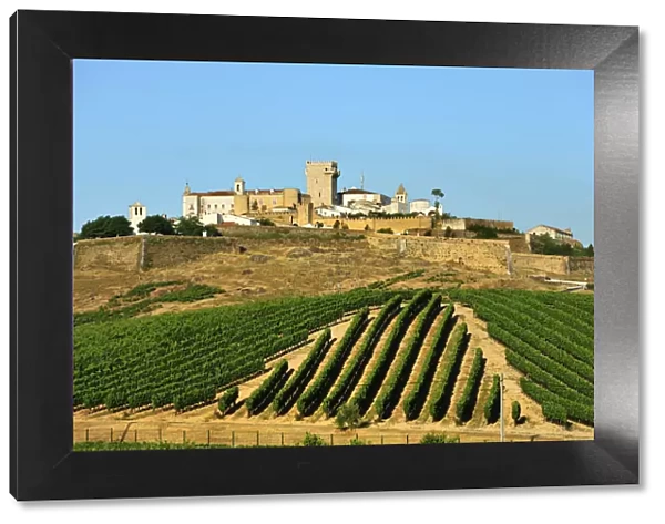 Vineyards and the walled city of Estremoz. Alentejo, Portugal