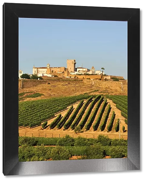 Vineyards and the walled city of Estremoz. Alentejo, Portugal