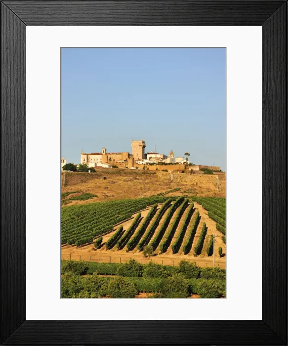Framed Print : Vineyards and the walled city of Estremoz. Alentejo, Portugal Framed Print : Vineyards and the walled city of Estremoz. Alentejo, Portugal