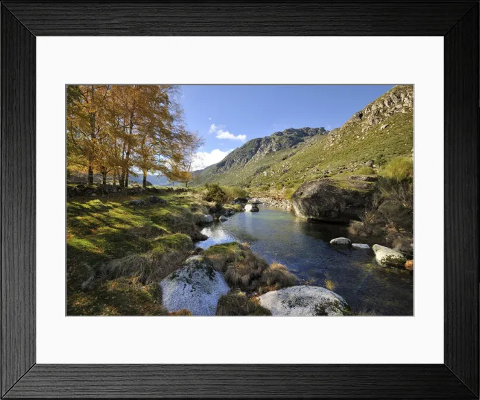 Framed Print : Birch trees at the Glacier Valley of Zezere river. Serra da Estrela Nature Park, Portugal Framed Print : Birch trees at the Glacier Valley of Zezere river. Serra da Estrela Nature Park, Portugal