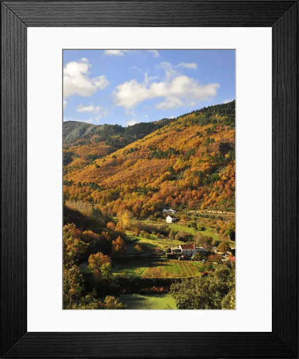Framed Print : Autumn in the valley of Zezere river. Serra da Estrela Nature Park, Portugal Framed Print : Autumn in the valley of Zezere river. Serra da Estrela Nature Park, Portugal
