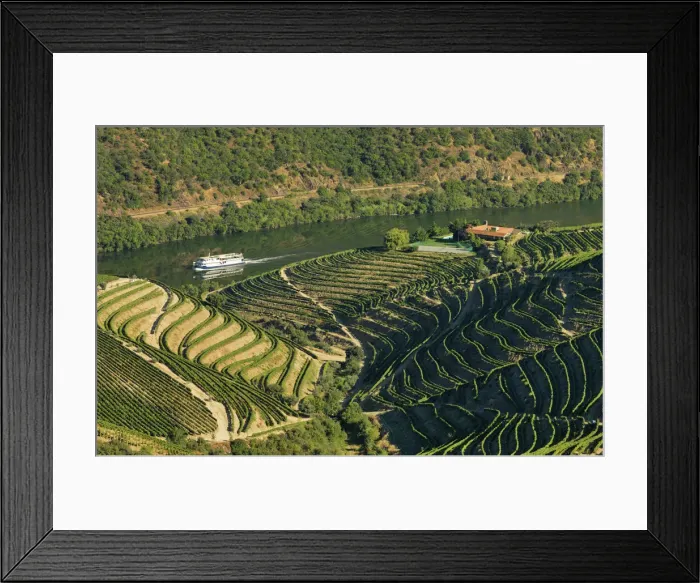 Framed Print : Portugal, Douro, Terraced vineyards and boat