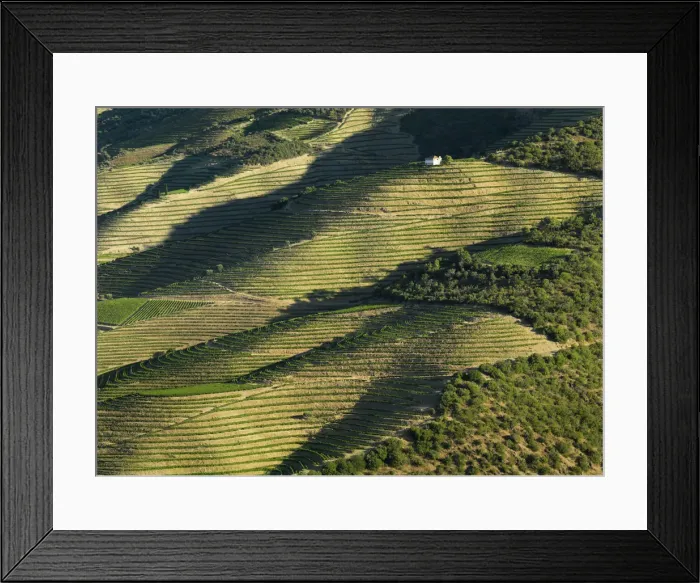 Framed Print : Portugal, Douro, Terraced vineyards and house Framed Print : Portugal, Douro, Terraced vineyards and house
