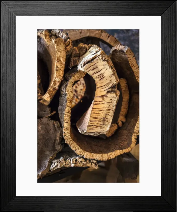 Framed Print : Cork, Museo do Trajo, Sao Bras de Alportel, Algarve, Portugal Framed Print : Cork, Museo do Trajo, Sao Bras de Alportel, Algarve, Portugal
