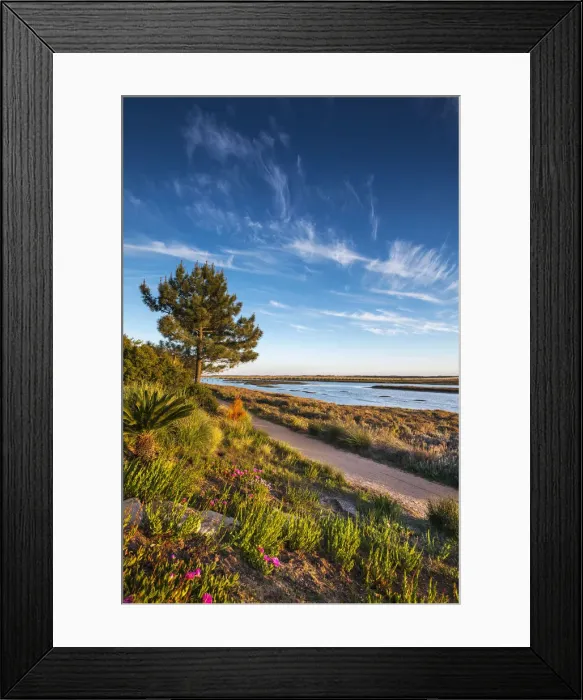 Framed Print : Lagoon Quinta do Lago, nature park Rio Formosa, Algarve, Portugal Framed Print : Lagoon Quinta do Lago, nature park Rio Formosa, Algarve, Portugal