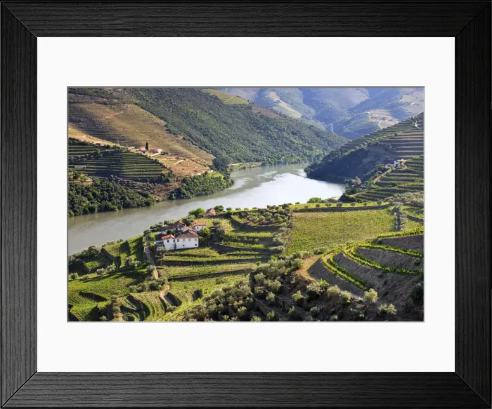 Framed Print : Terraced vineyards in Chanceleiros, Douro region, a Unesco World heritage site. Portugal Framed Print : Terraced vineyards in Chanceleiros, Douro region, a Unesco World heritage site. Portugal