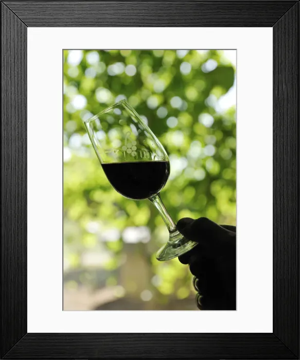 Framed Print : Wine tasting at Quinta do Casal das Freiras. Tomar, Portugal Framed Print : Wine tasting at Quinta do Casal das Freiras. Tomar, Portugal