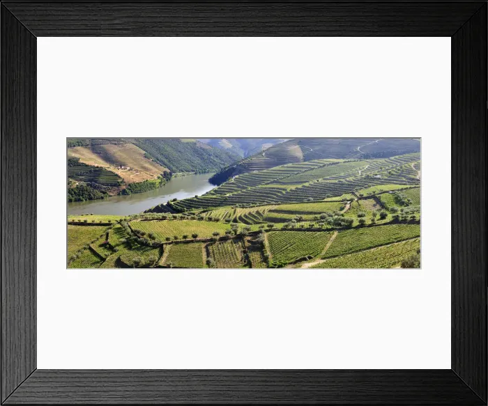 Framed Print : Terraced vineyards in Chanceleiros, Douro region, a Unesco World heritage site. Portugal Framed Print : Terraced vineyards in Chanceleiros, Douro region, a Unesco World heritage site. Portugal