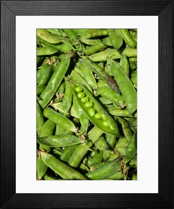 Framed Print : Peas Framed Print : Peas