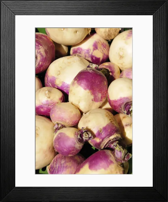 Framed Print : Turnips Framed Print : Turnips