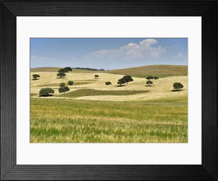 Framed Print : Wheat fields of Aljustrel, Alentejo. Portugal Framed Print : Wheat fields of Aljustrel, Alentejo. Portugal