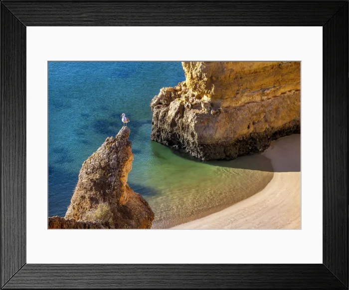 Framed Print : Beach, Praia Dona Ana, Lagos, Algarve, Portugal Framed Print : Beach, Praia Dona Ana, Lagos, Algarve, Portugal