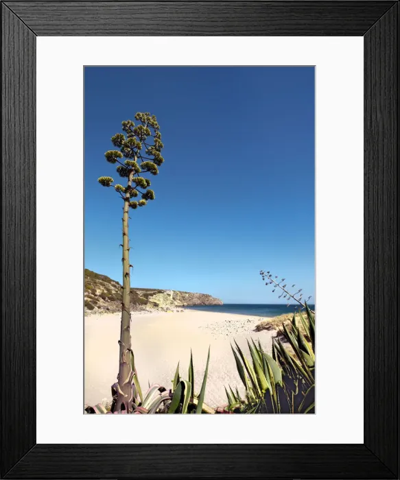 Framed Print : Beach, Praia do Zavial, Vila do Bispo, Algarve, Portugal Framed Print : Beach, Praia do Zavial, Vila do Bispo, Algarve, Portugal
