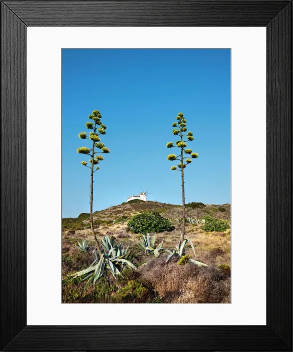 Framed Print : Windmill, Carrapateira, Costa Vicentina, Algarve, Portugal Framed Print : Windmill, Carrapateira, Costa Vicentina, Algarve, Portugal