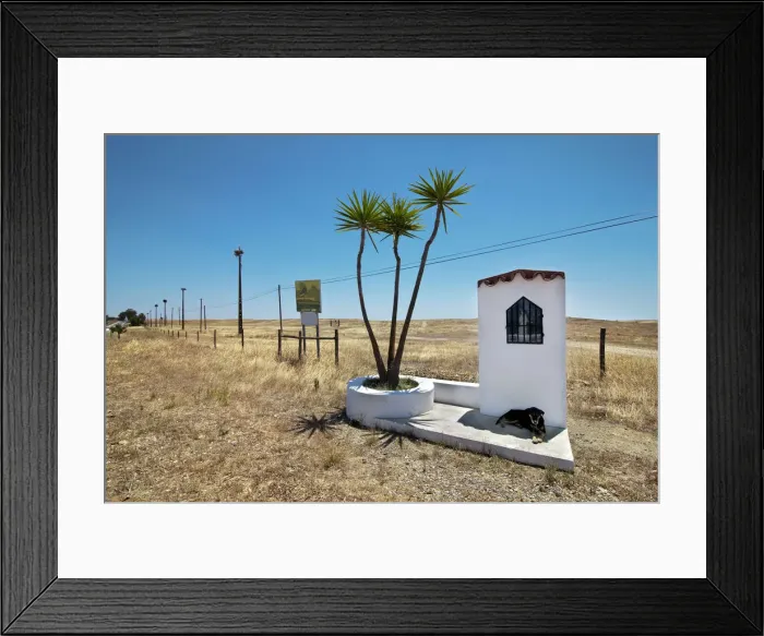 Framed Print : Storks and dog, Castro Verde, Alentejo, Portugal