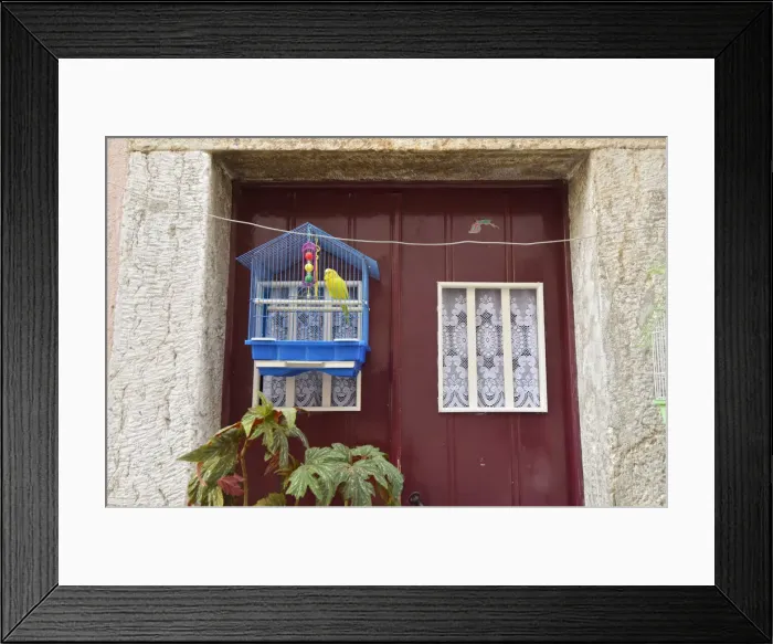Framed Print : Door with bird in the Castelo district. Lisbon, Portugal