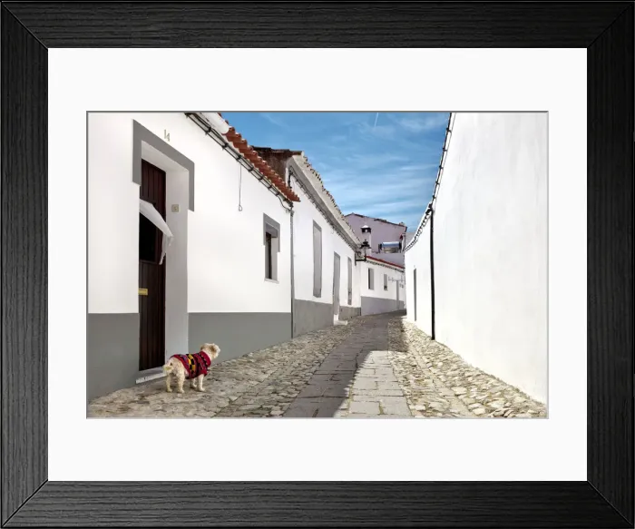 Framed Print : Dog, Serpa, Alentejo, Portugal Framed Print : Dog, Serpa, Alentejo, Portugal