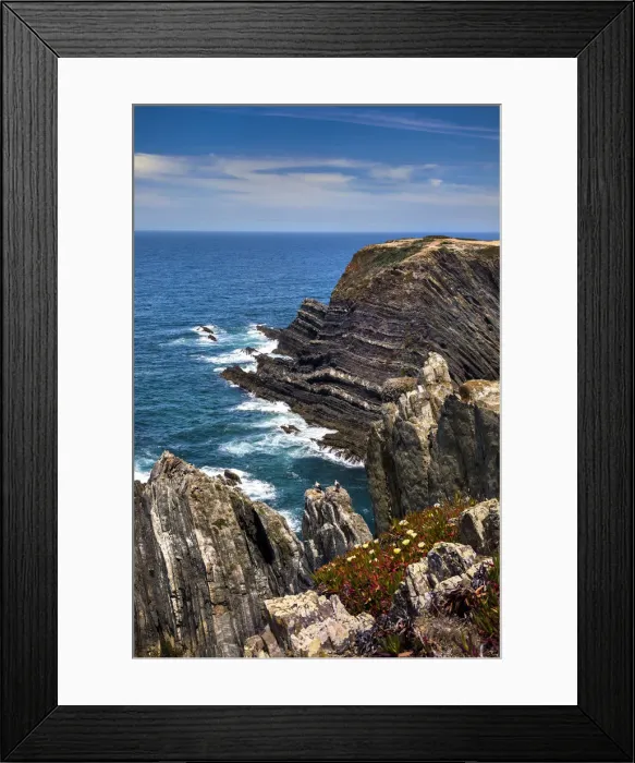 Framed Print : Storks on the cliffs, Cabo Sardao, Costa Vicentina, Alentejo, Portugal Framed Print : Storks on the cliffs, Cabo Sardao, Costa Vicentina, Alentejo, Portugal