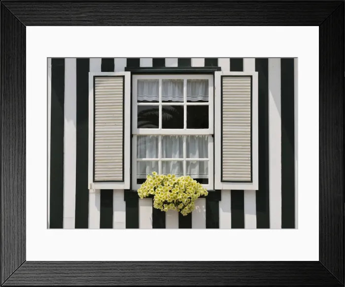 Framed Print : Window of a traditional striped painted house in the little seaside village of Costa Nova Framed Print : Window of a traditional striped painted house in the little seaside village of Costa Nova