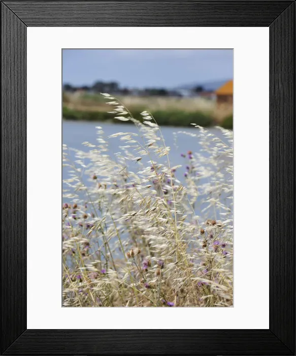 Framed Print : Sado Estuary Natural Reserve in Spring. Portugal