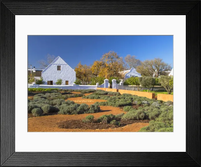 Framed Print : Herb garden at Babylonstoren Wine Estate, Paarl, Western Cape, South Africa Framed Print : Herb garden at Babylonstoren Wine Estate, Paarl, Western Cape, South Africa