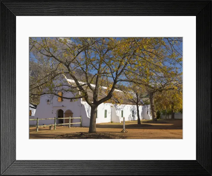 Framed Print : Babylonstoren Wine Estate, Paarl, Western Cape, South Africa