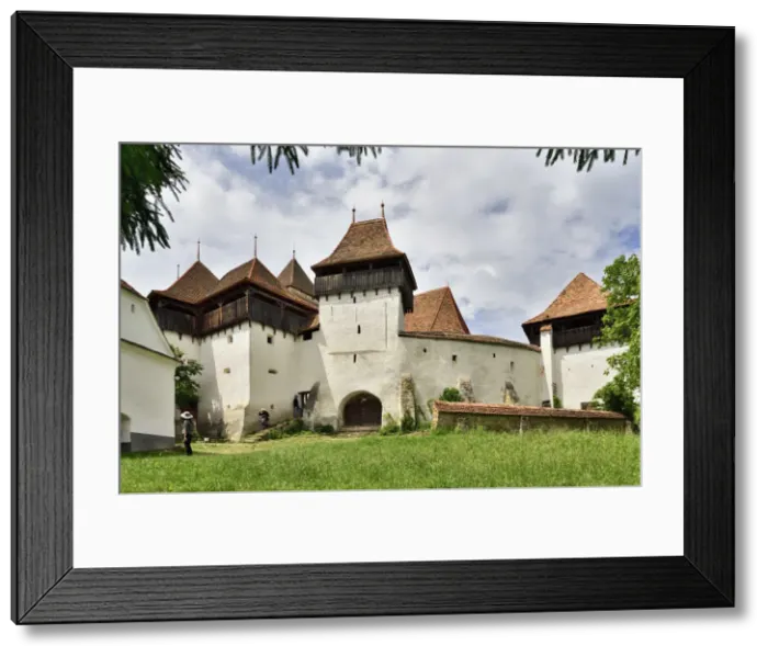 Framed Print : The Viscri fortified church was built by the Transylvanian Saxon community in Viscri Framed Print : The Viscri fortified church was built by the Transylvanian Saxon community in Viscri