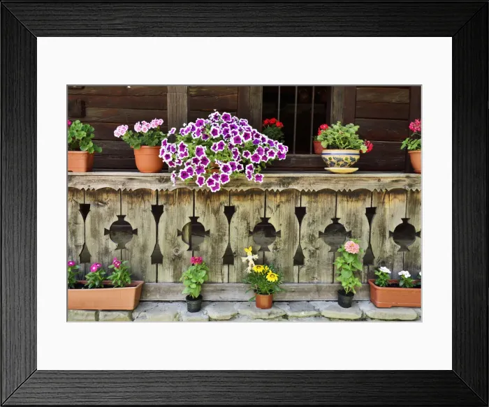 Framed Print : House from Bancu, Harghita. National Village Museum (Muzeul Satului) at Herastrau Park Framed Print : House from Bancu, Harghita. National Village Museum (Muzeul Satului) at Herastrau Park