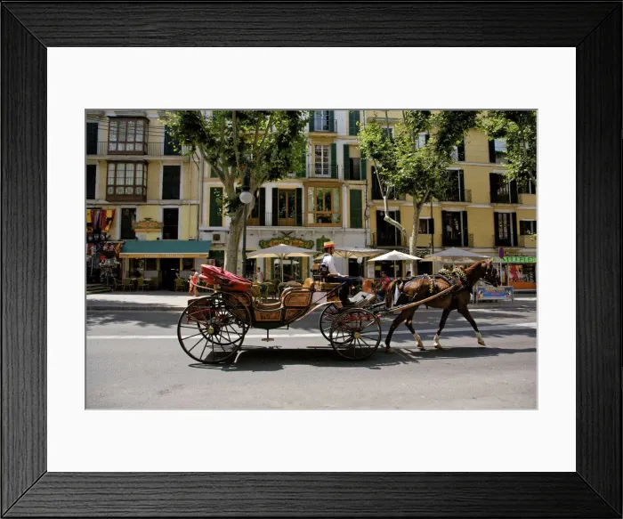Framed Print : Horse and Carriage, Palma, Mallorca, Spain