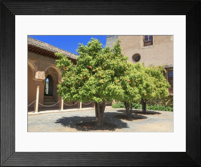 Framed Print : Orange trees, Alhambra, Granada, Andalusia, Spain Framed Print : Orange trees, Alhambra, Granada, Andalusia, Spain