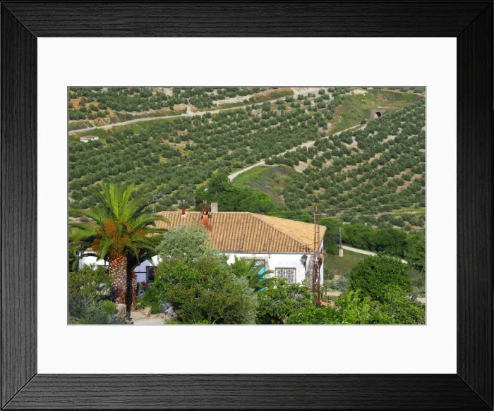 Framed Print : Landscape, olive groves from the Plaza Santa Lucia, Ubeda, Andalusia, Spain