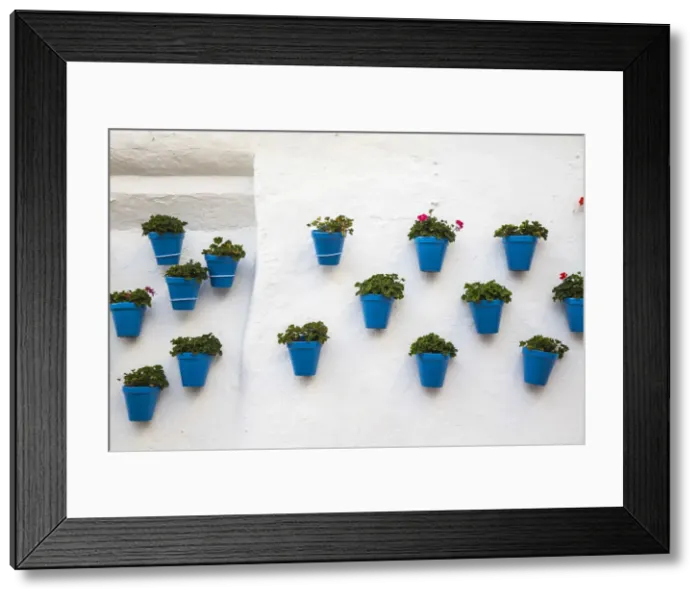 Framed Print : Spain, Marbella, Old town, Plants on whitewashed wall Framed Print : Spain, Marbella, Old town, Plants on whitewashed wall