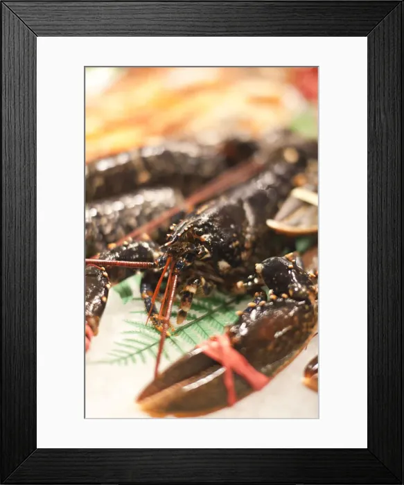 Framed Print : Lobster, La Boqueria Market, Barcelona, Spain Framed Print : Lobster, La Boqueria Market, Barcelona, Spain
